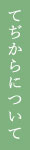 てぢからについて